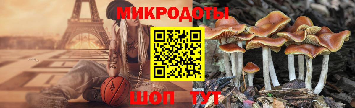 где купить наркоту  Псилоцибиновые грибы Magic Shrooms  Вход с VPN  Ногинск 